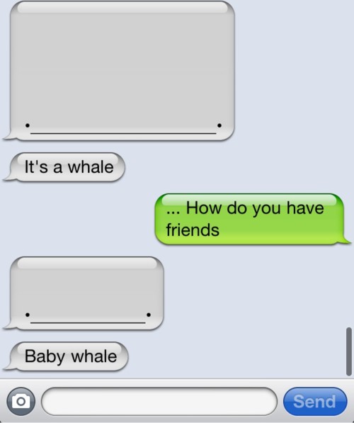 it's a whale