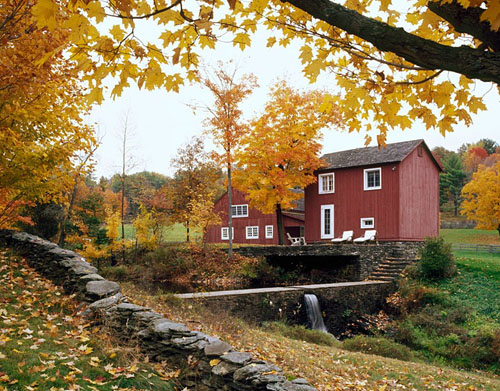shelton mindel 3