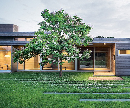 thad hayes arc digest