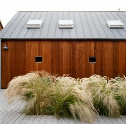 grass