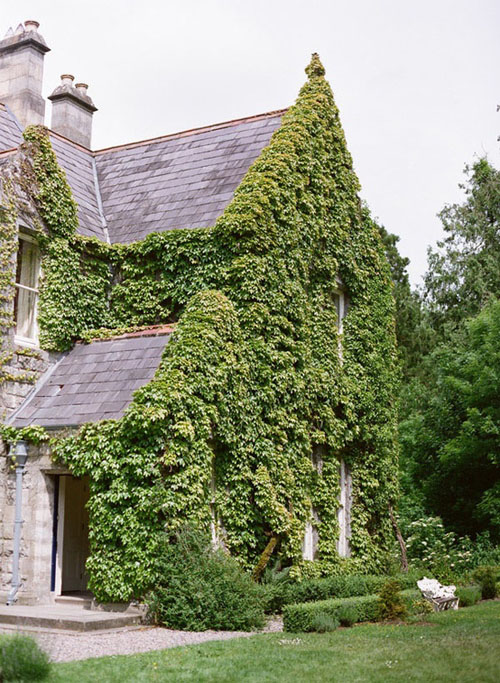 castle leslie ireland